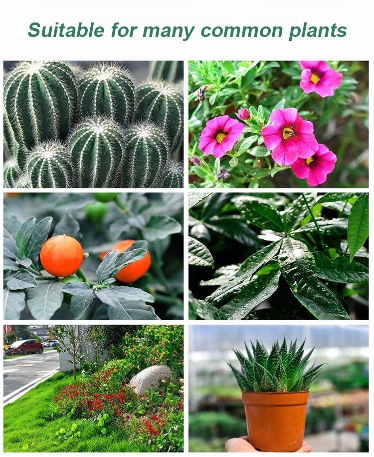 Pflanzen- & Blütenaktivator Flüssig – Stärkere Wurzeln & Mehr Blüten