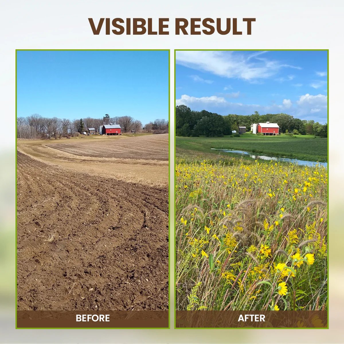 Bodenaktivator – Gesündere Pflanzen Schnell (3 Stück)