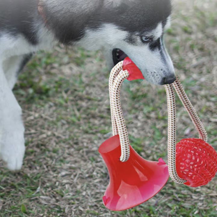 Haltbares Beißspielzeug für Haustiere – Ideal für Hunde & Welpen