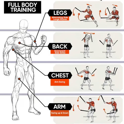 Trainingsseile mit gewichteten Federn – Kompaktes Ganzkörper-Workout