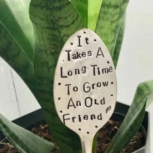 1+1 GRATIS | Langlebiger Gartenmarker-Freundschaftsgeschenk für Pflanzenliebhaber Mivoza Deutschland