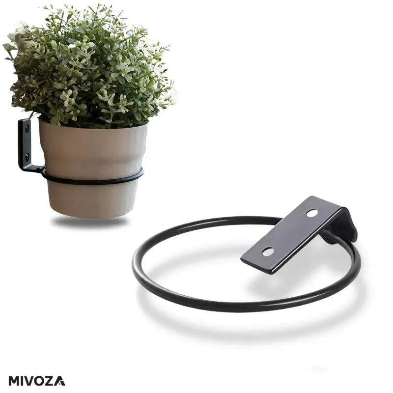 1+1 Gratis | PlantRing™ Von kahlen Wänden zu blühenden Schönheiten! Mivoza Deutschland