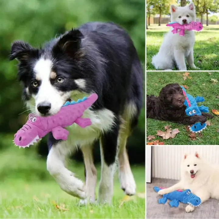 1+1 Gratis | Robustes Plüsch-Krokodilspielzeug für Hunde Mivoza Deutschland
