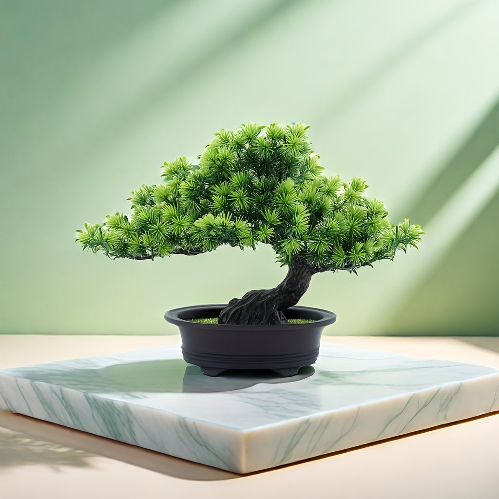 Immergrüner Bonsai