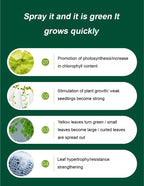 Pflanzen- & Blütenaktivator Flüssig – Stärkere Wurzeln & Mehr Blüten