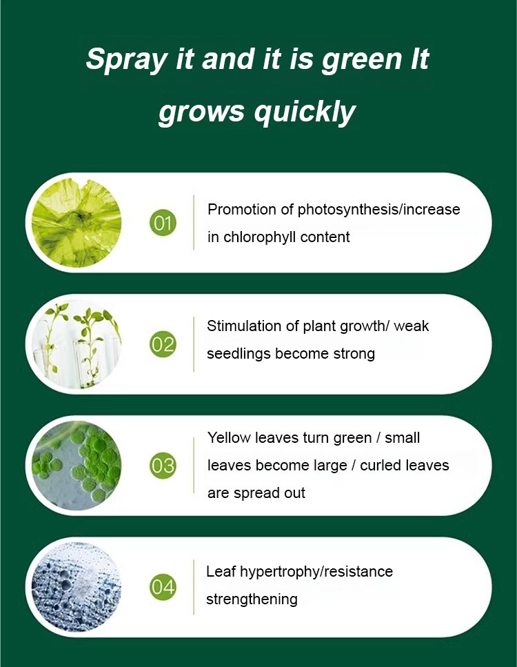 Pflanzen- & Blütenaktivator Flüssig – Stärkere Wurzeln & Mehr Blüten