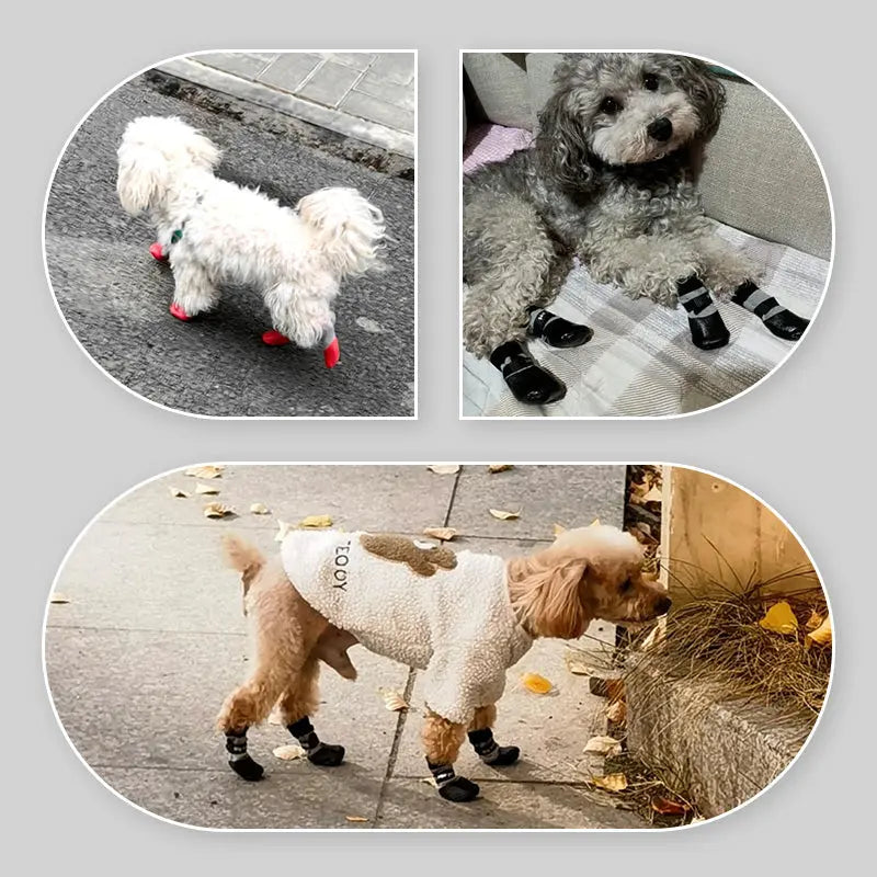 2 Paar Rutschfeste Wasserdichte Hundeschuhe für Sichere und Glückliche Pfoten Mivoza Deutschland
