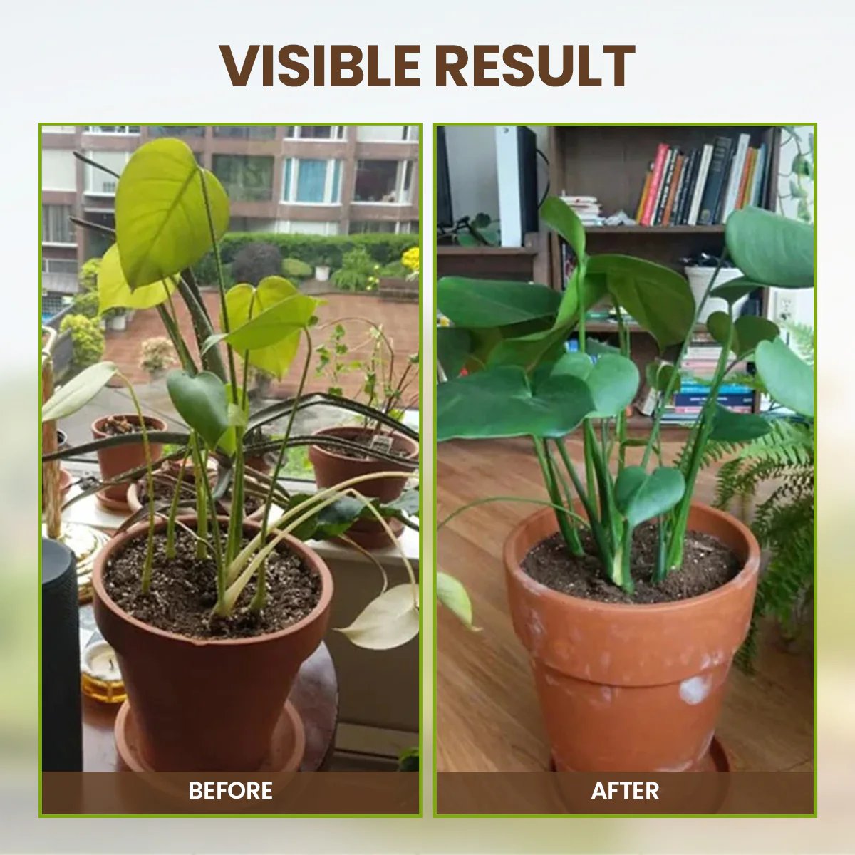 Bodenaktivator – Gesündere Pflanzen Schnell (3 Stück)