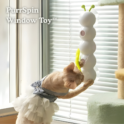 Interaktives Katzen-Wandspielzeug mit Bewegung