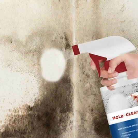 Schimmelentferner-Schaum Spray Mivoza Deutschland