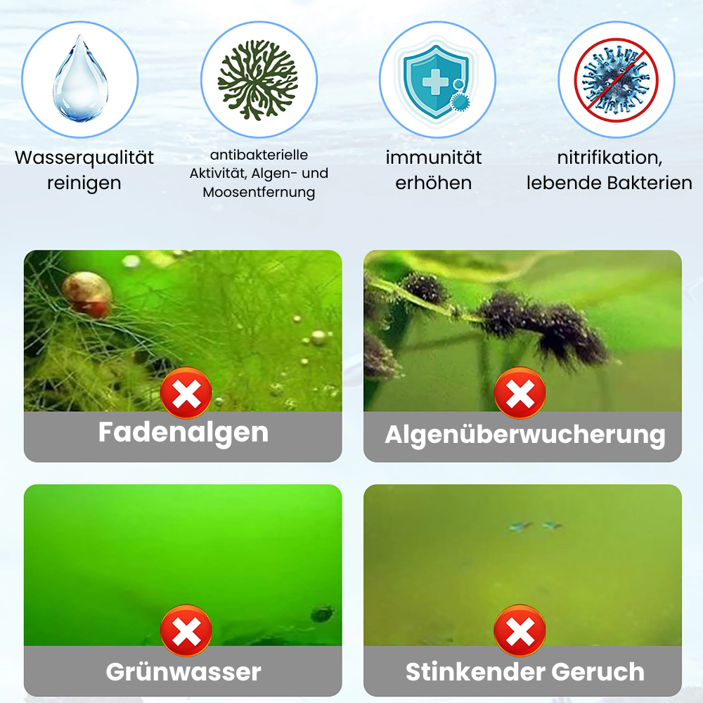 Algenentferner für Aquarien