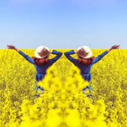 Kamera-Spiegelreflektor Clip — Für kreative & künstlerische Aufnahmen Mivoza Deutschland