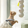 Interaktives Katzen-Wandspielzeug mit Bewegung