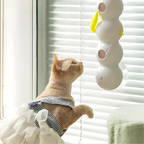 Interaktives Katzen-Wandspielzeug mit Bewegung