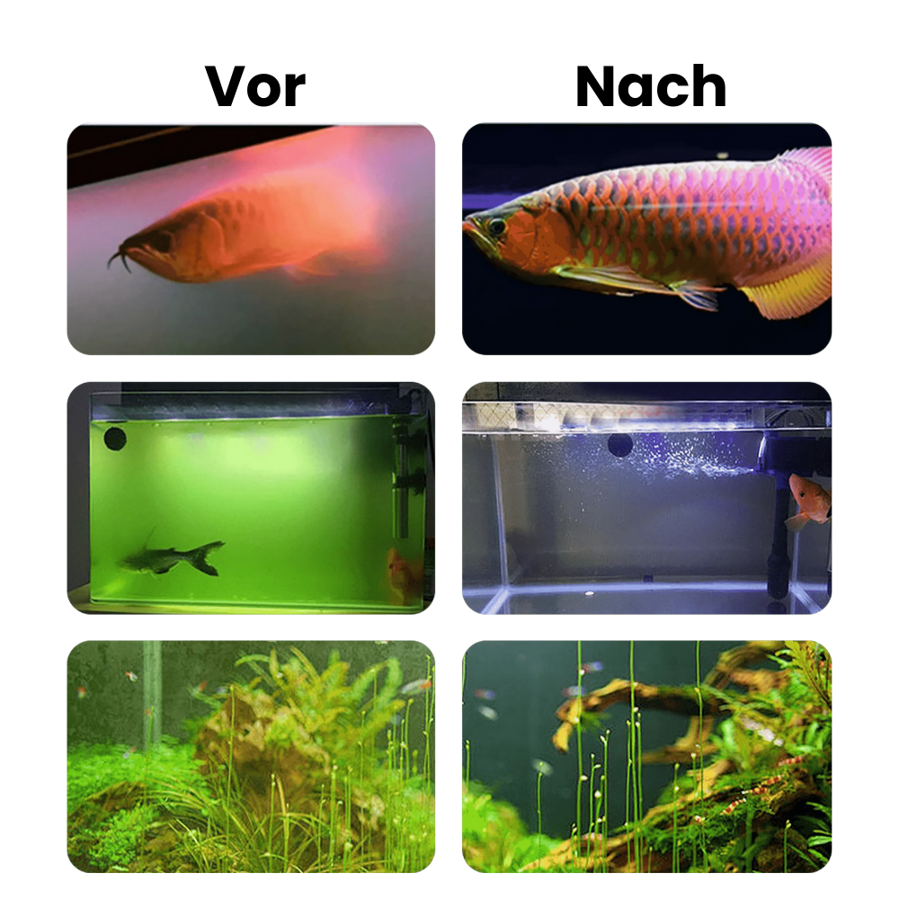 Algenentferner für Aquarien