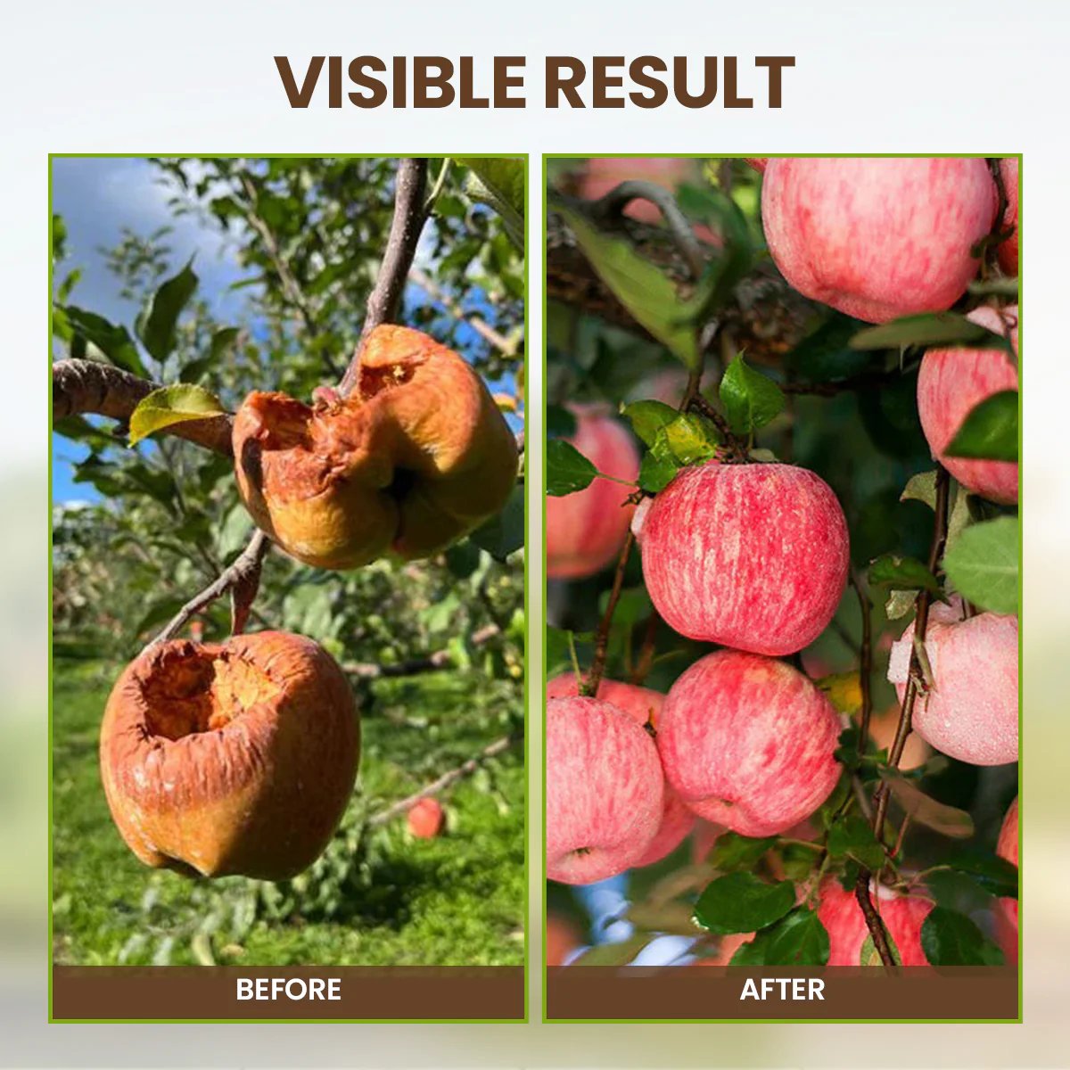 Bodenaktivator – Gesündere Pflanzen Schnell (3 Stück)