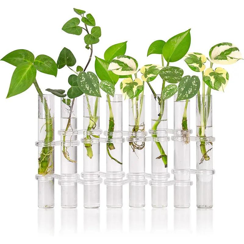 6-teiliges Glasröhren-Vasenset – Stilvolle Blumendeko für Zuhause Mivoza Deutschland