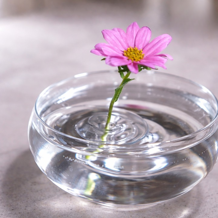 Schwimmender Blumenhalter – Hält Stiele mühelos aufrecht (10 Stück)