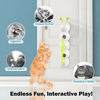 Interaktives Katzen-Wandspielzeug mit Bewegung