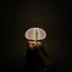 Seeigel-Nachtlampe