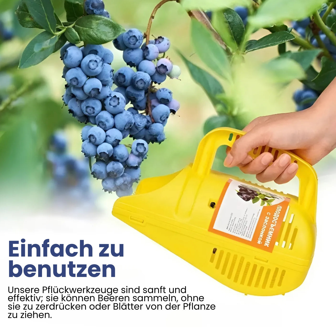 Ergonomischer tragbarer Beerenpflücker mit Handgriff