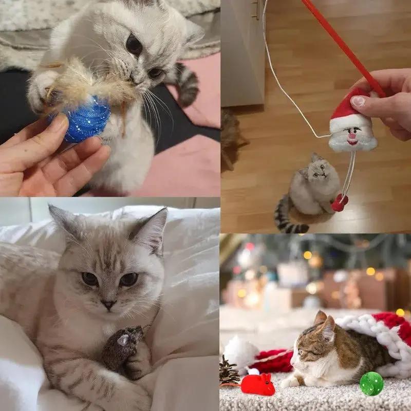 Adventskalender für Katzen — 24 liebevoll ausgewählte Spielzeuge Mivoza Deutschland