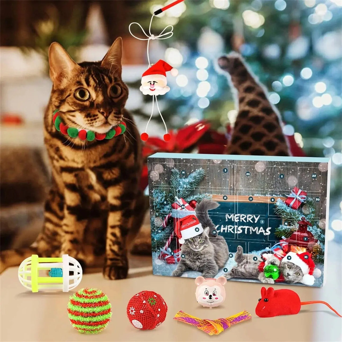 Adventskalender für Katzen — 24 liebevoll ausgewählte Spielzeuge Mivoza Deutschland