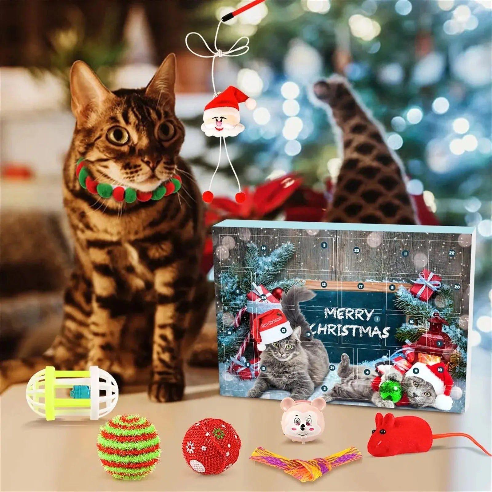 Adventskalender für Katzen — 24 liebevoll ausgewählte Spielzeuge Mivoza Deutschland