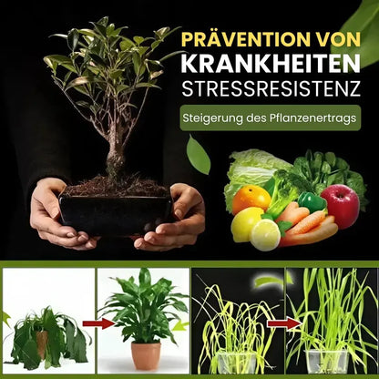 Aktivator für Gartenerde Mivoza Deutschland