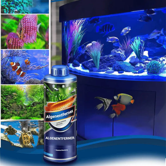 Algenentferner für Aquarien Mivoza Deutschland