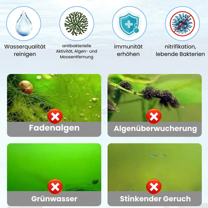Algenentferner für Aquarien Mivoza Deutschland