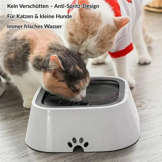 Anti-Spritz-Wasserspender für Katzen & Hunde – Frisches Wasser, saubere Böden Mivoza Deutschland