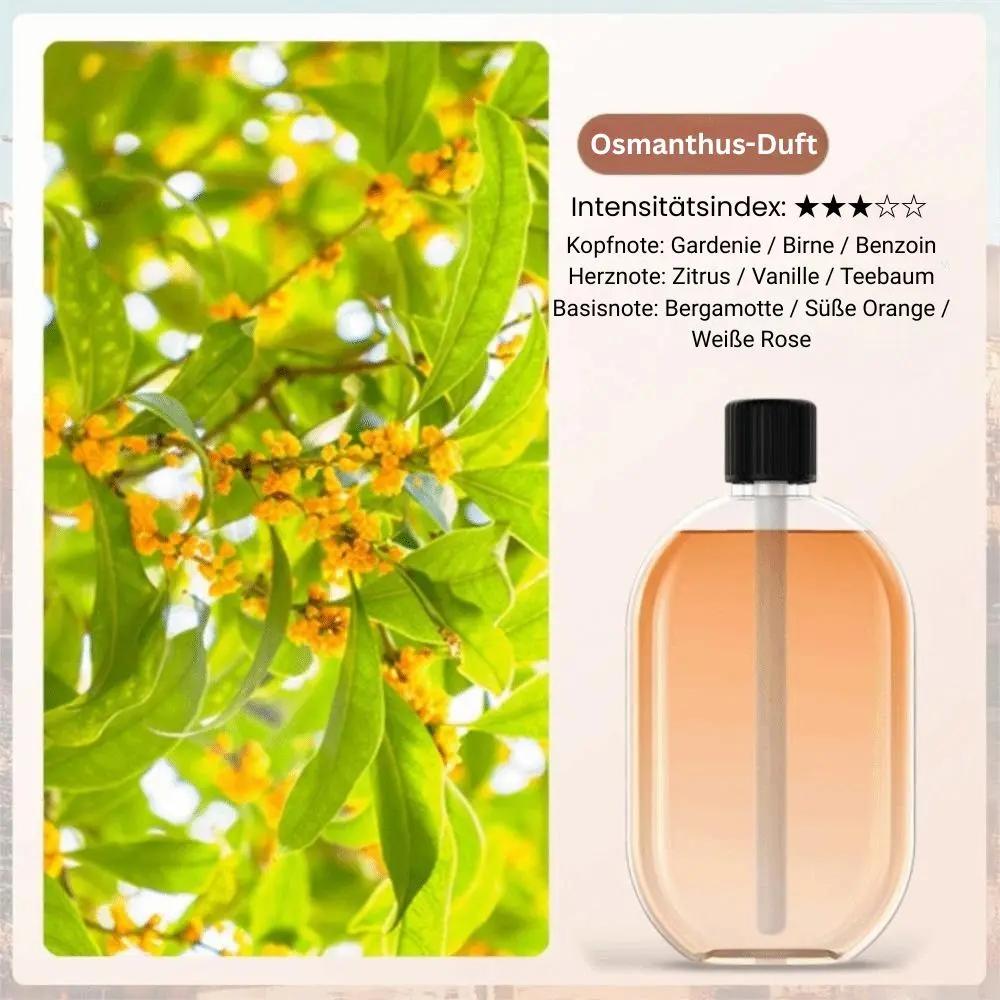 Automatischer Raumduft-Diffusor — Entspannende Momente für gute Energie Mivoza Deutschland