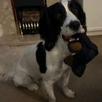 Langlebiges Hunde-Kauspielzeug – Hält hartem Kauen stand