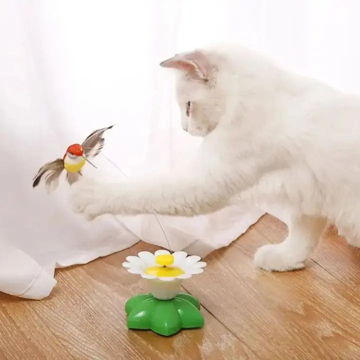 Drehendes katzenspielzeug Mivoza Deutschland