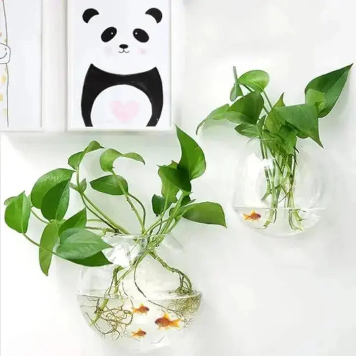 1+1 Gratis | Elegante Glas-Wandvase – Minimalistischer Pflanzenhalter Mivoza Deutschland