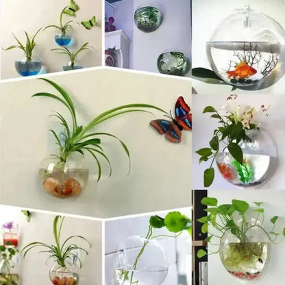 1+1 Gratis | Elegante Glas-Wandvase – Minimalistischer Pflanzenhalter Mivoza Deutschland