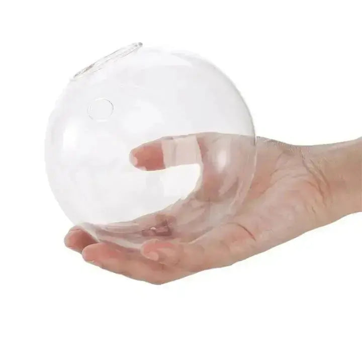 1+1 Gratis | Elegante Glas-Wandvase – Minimalistischer Pflanzenhalter Mivoza Deutschland