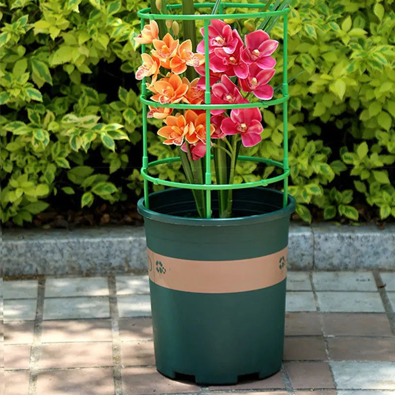 Flexibler Pflanzenstützrahmen — Wetterfeste Gartenstütze mit Werkzeugfreier Montage Mivoza Deutschland