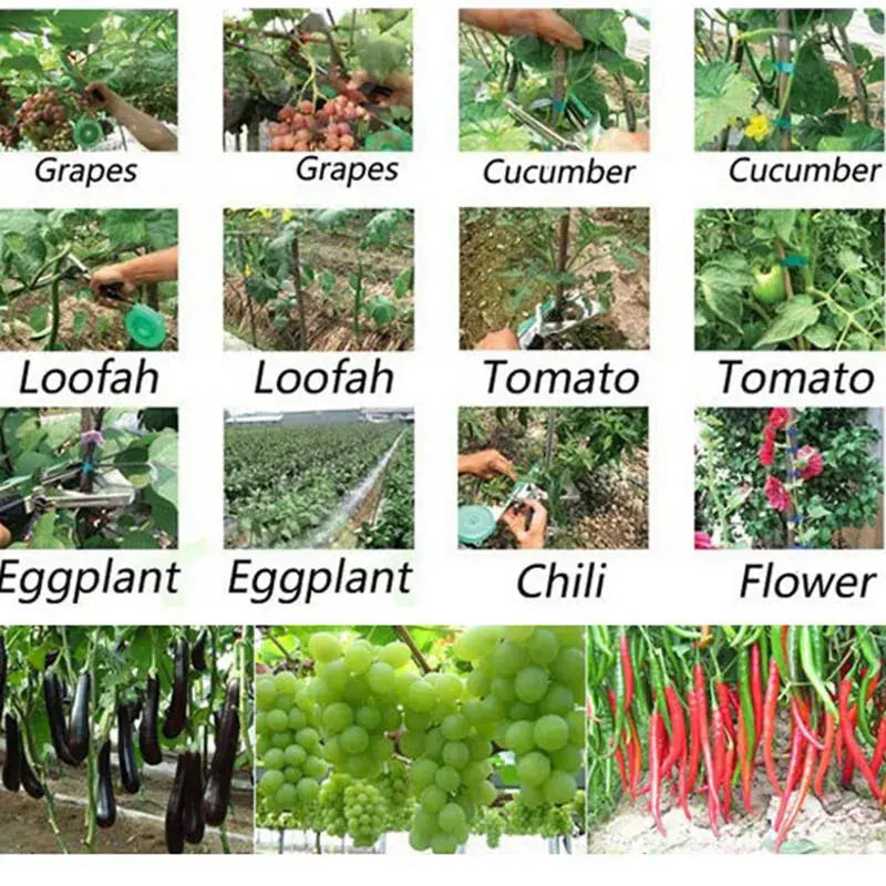 Gartenpflanzen-Bindegerät-Set | Gratis 10 Rollen Klebeband und 10.000 Heftklammern Mivoza Deutschland
