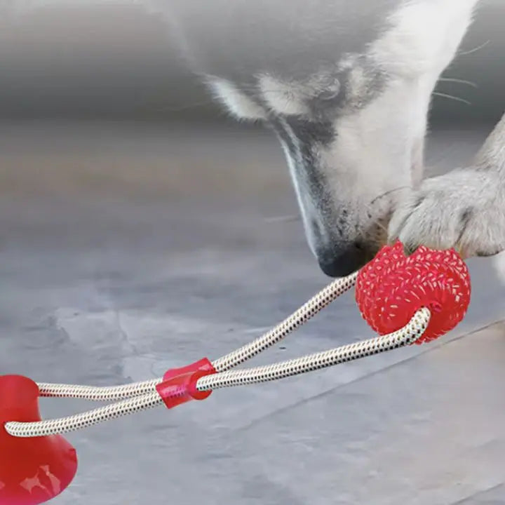 Haltbares Beißspielzeug für Haustiere – Ideal für Hunde & Welpen Mivoza Deutschland