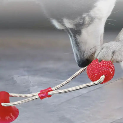 Haltbares Beißspielzeug für Haustiere – Ideal für Hunde & Welpen Mivoza Deutschland
