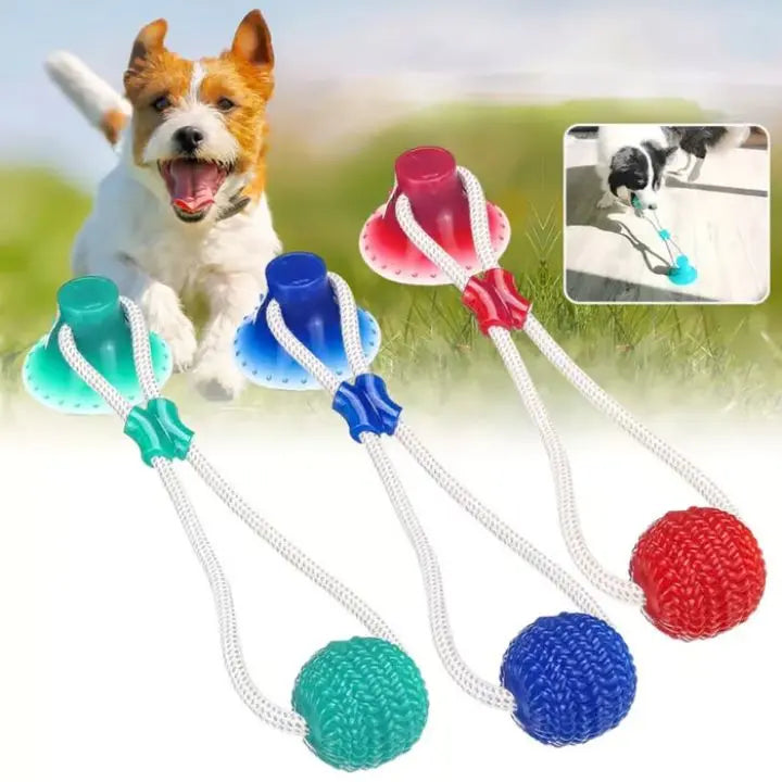Haltbares Beißspielzeug für Haustiere – Ideal für Hunde & Welpen Mivoza Deutschland