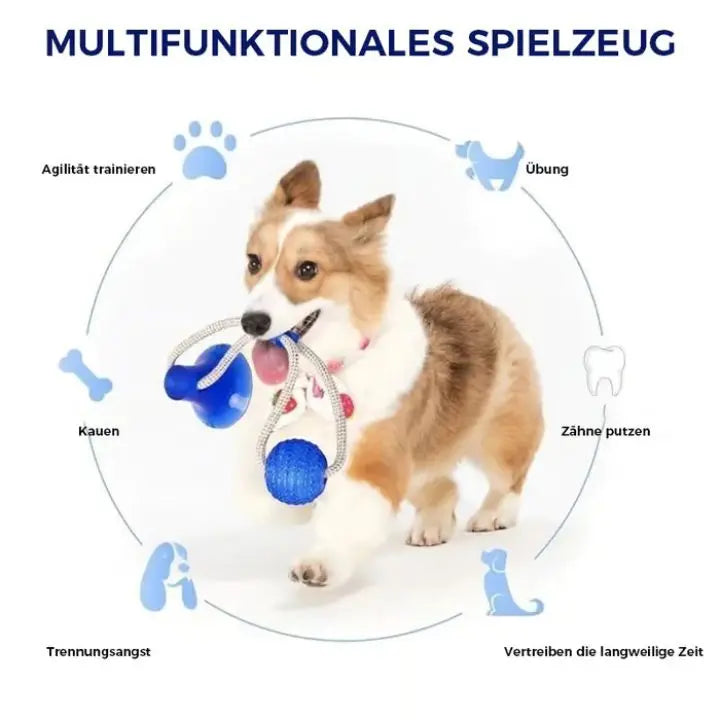 Haltbares Beißspielzeug für Haustiere – Ideal für Hunde & Welpen Mivoza Deutschland