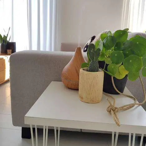 Holzmaserung Aroma Diffusor Mivoza Deutschland