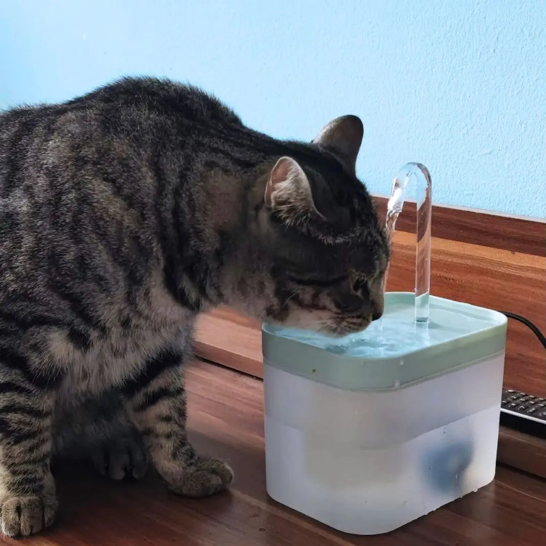 Intelligenter Wasserbrunnen für Haustiere Mivoza Deutschland