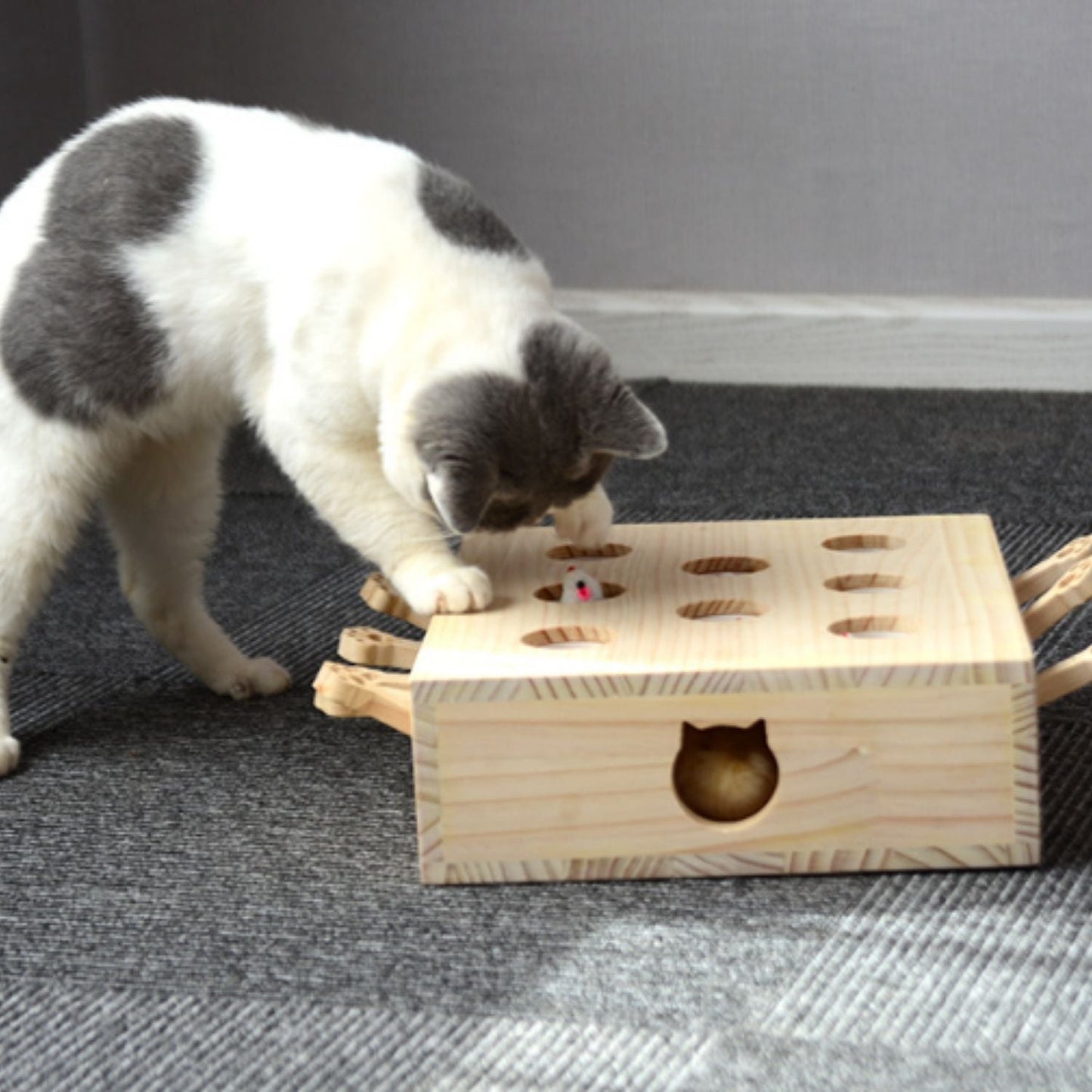 Whack-a-Mole Katzenspielzeug aus Holz