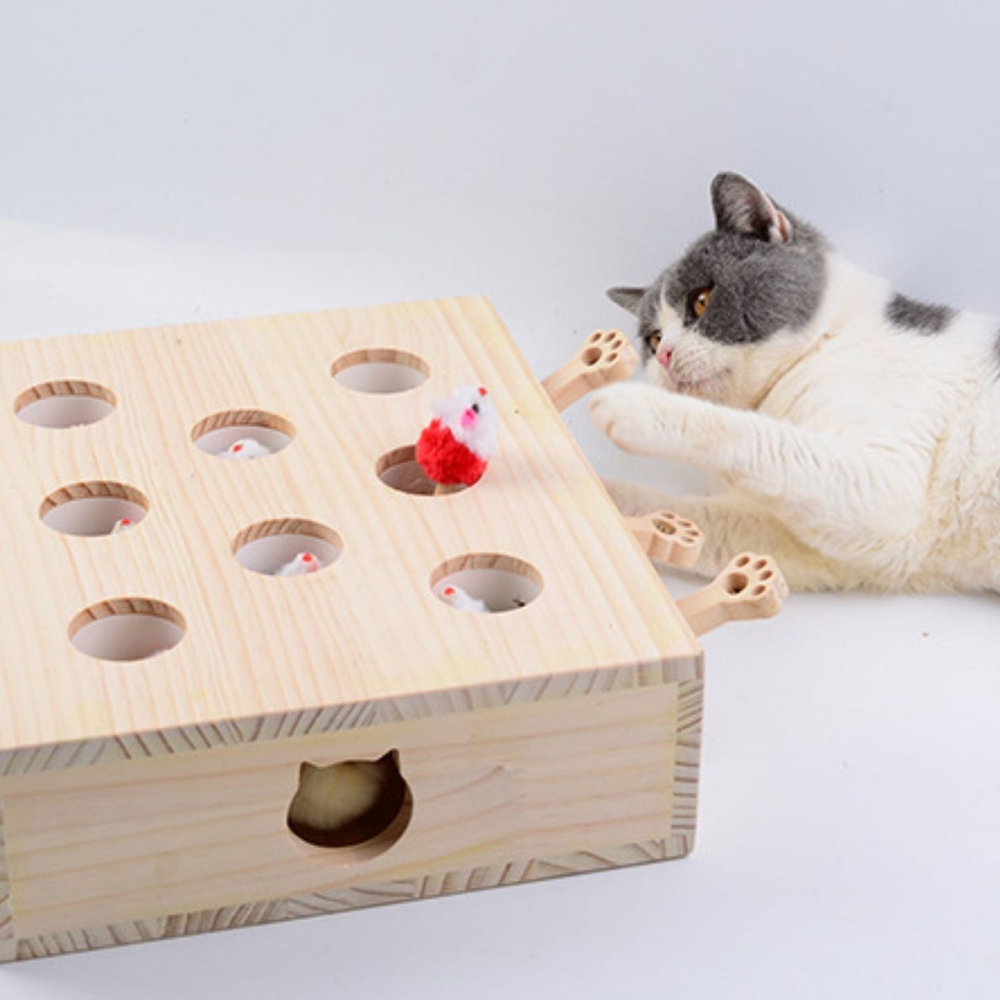 Whack-a-Mole Katzenspielzeug aus Holz