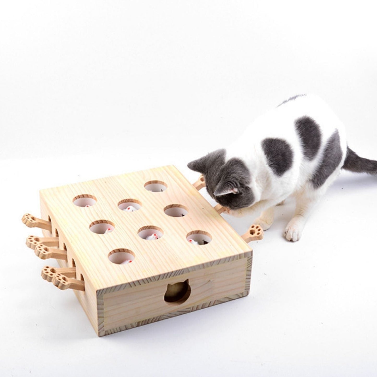 Whack-a-Mole Katzenspielzeug aus Holz