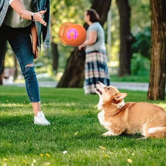 Interaktiver Haustierball – Fördert Spiel & Bewegung Mivoza Deutschland